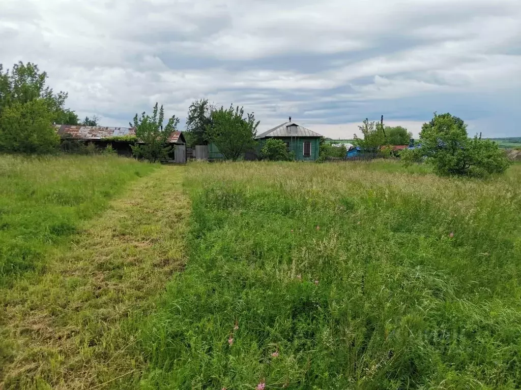 Село Алферовка Воронежская область