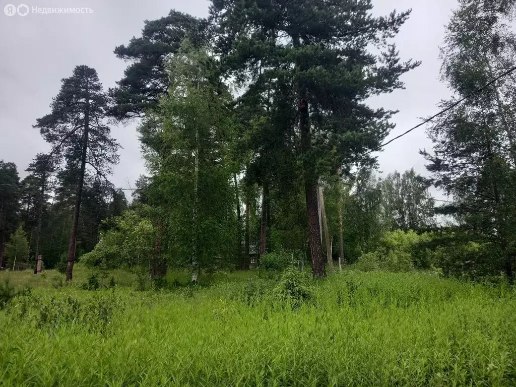 Участок в Ленинградская область, Тихвинское городское поселение, ... - Фото 0