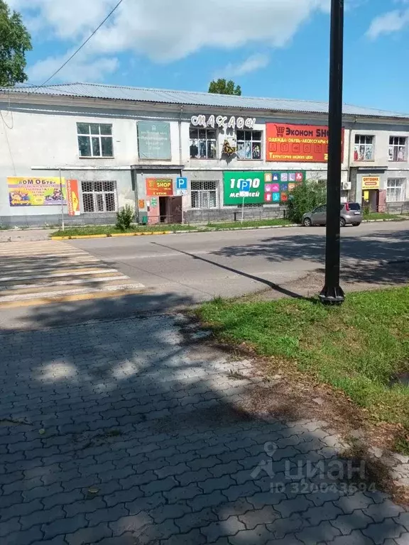 Помещение свободного назначения в Амурская область, с. Тамбовка ул. ... - Фото 0