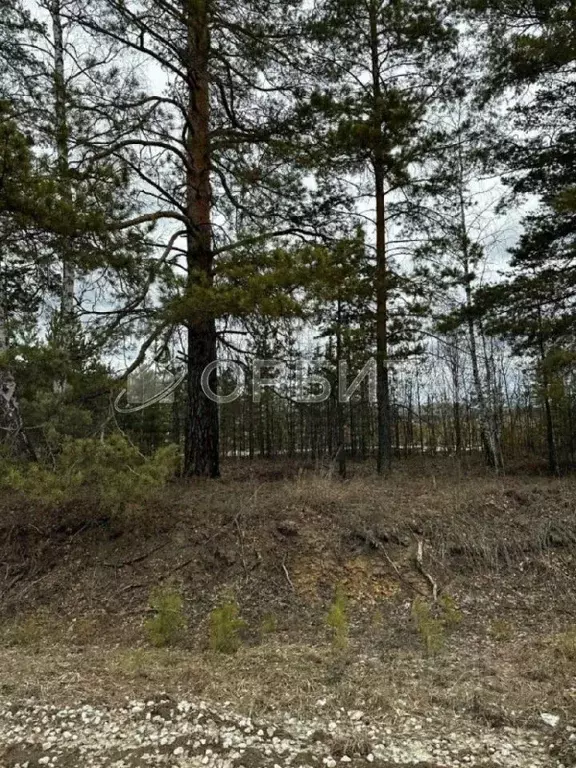 Участок в Тюменская область, Тюменский район, д. Ушакова  (7.0 сот.) - Фото 1