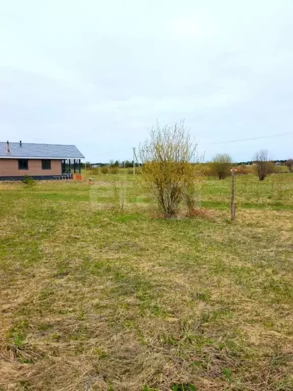 Участок в Кировская область, Слободской район, Шиховское с/пос, д. ... - Фото 1