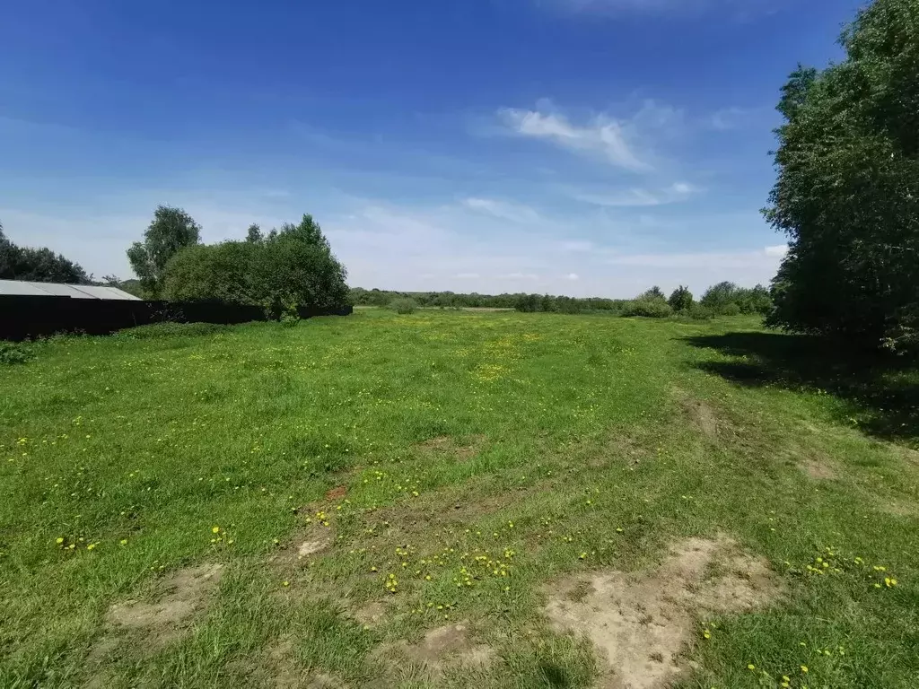 Участок в Московская область, Коломна городской округ, с. Сосновка  ... - Фото 1