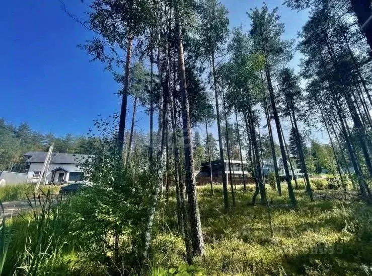 Участок в Ленинградская область, Всеволожский район, Токсовское ... - Фото 0
