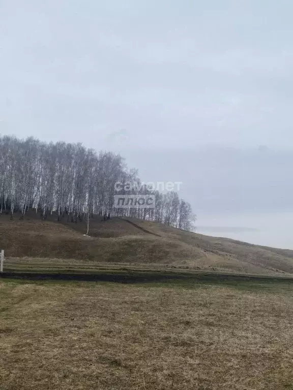 Участок в Башкортостан, Нуримановский район, Новокулевский сельсовет, ... - Фото 1