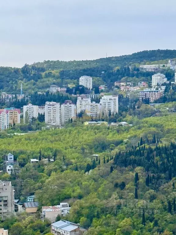 Студия Крым, Ялта ул. Кирова, 155Ак2 (32.5 м) - Фото 2