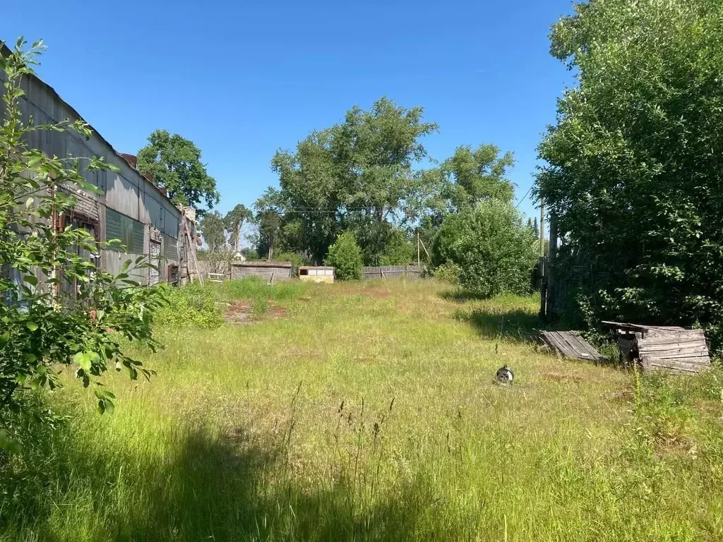 Участок в Ленинградская область, Выборгский район, Каменногорское ... - Фото 2