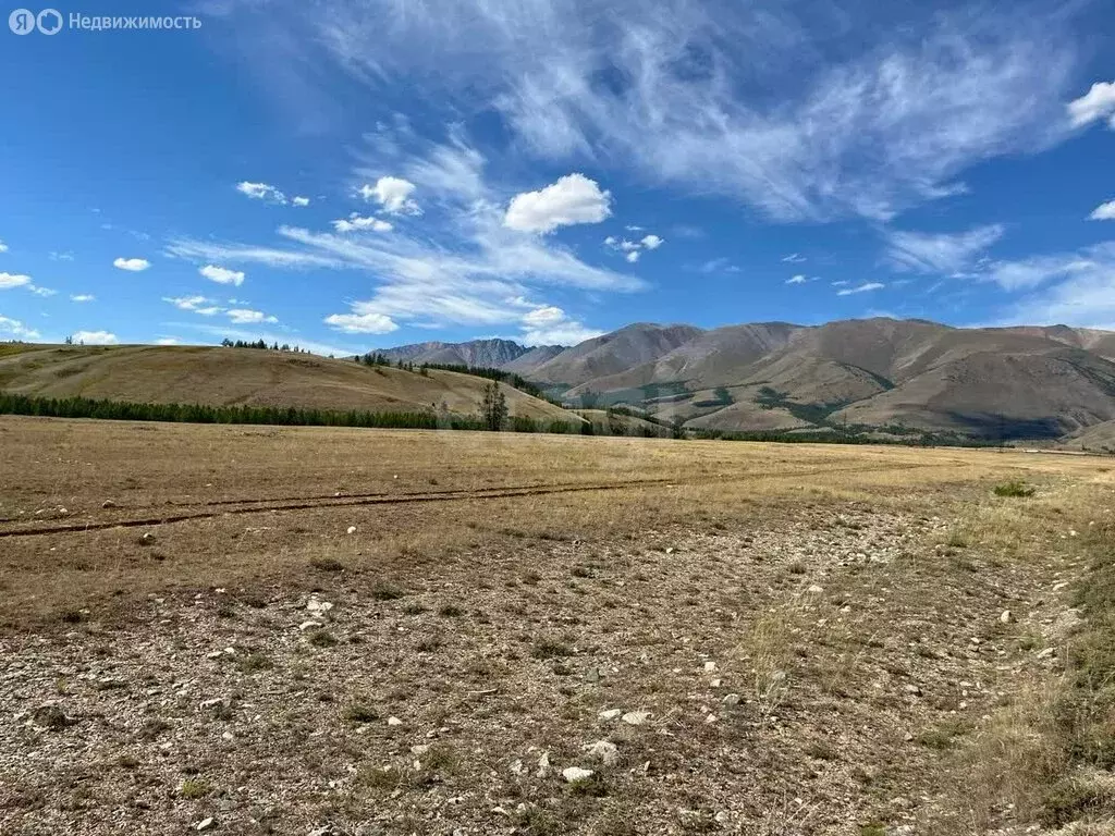 Участок в Кош-Агачский район, село Курай (19.88 м) - Фото 2