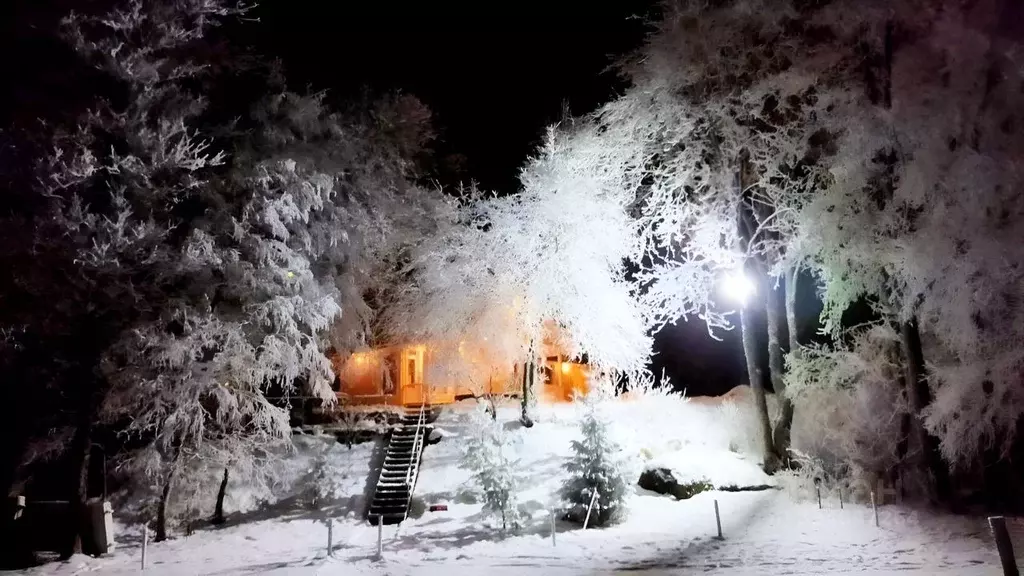Дом в Ленинградская область, Приозерский район, Красноозерное с/пос, ... - Фото 1