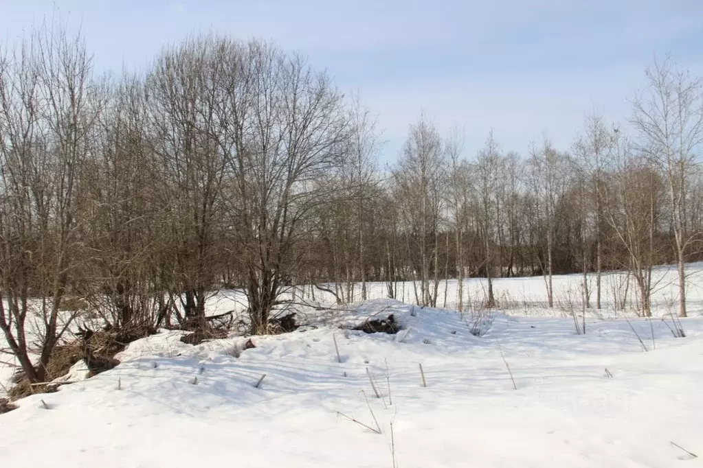 Участок в Московская область, Шаховская муниципальный округ, д. ... - Фото 2