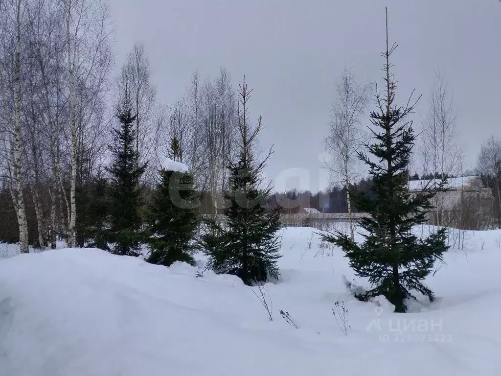 Участок в Москва Солнечная Опушка кп, ул. Русинская Роща (5.0 сот.) - Фото 1