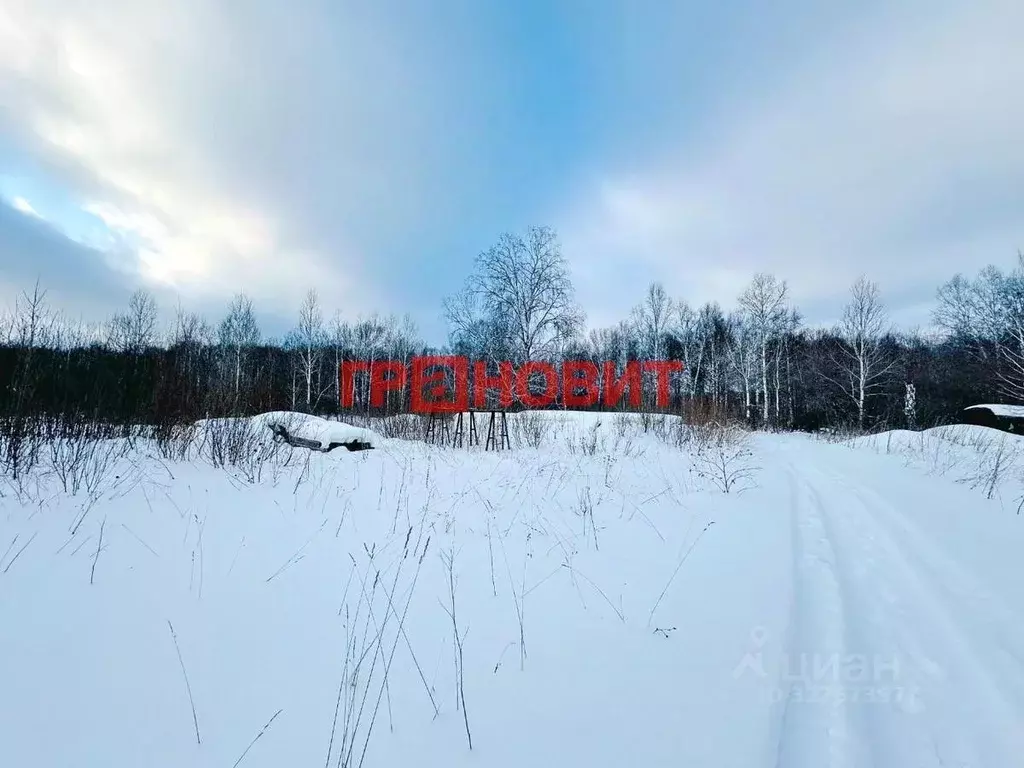 Участок в Новосибирская область, Новосибирский район, Плотниковский ... - Фото 1