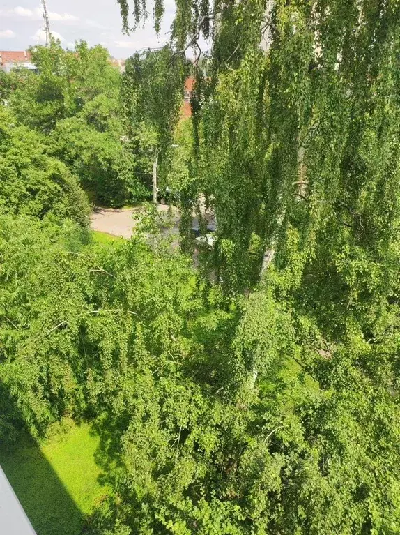 Комната Санкт-Петербург ул. Добровольцев, 40К2 - Фото 2