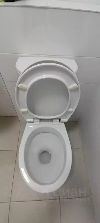 Студия Калужская область, Обнинск просп. Маркса, 99/1 (20.0 м) - Фото 2