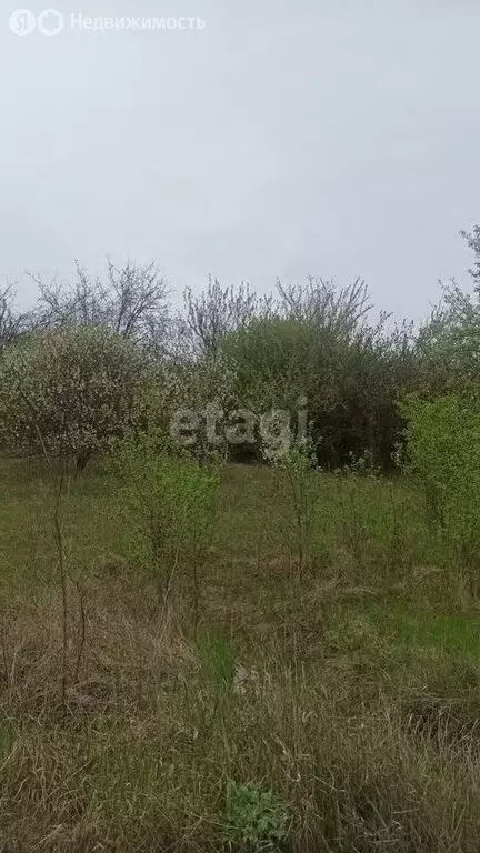 Участок в Ракитянский район, Дмитриевское сельское поселение, хутор ... - Фото 2