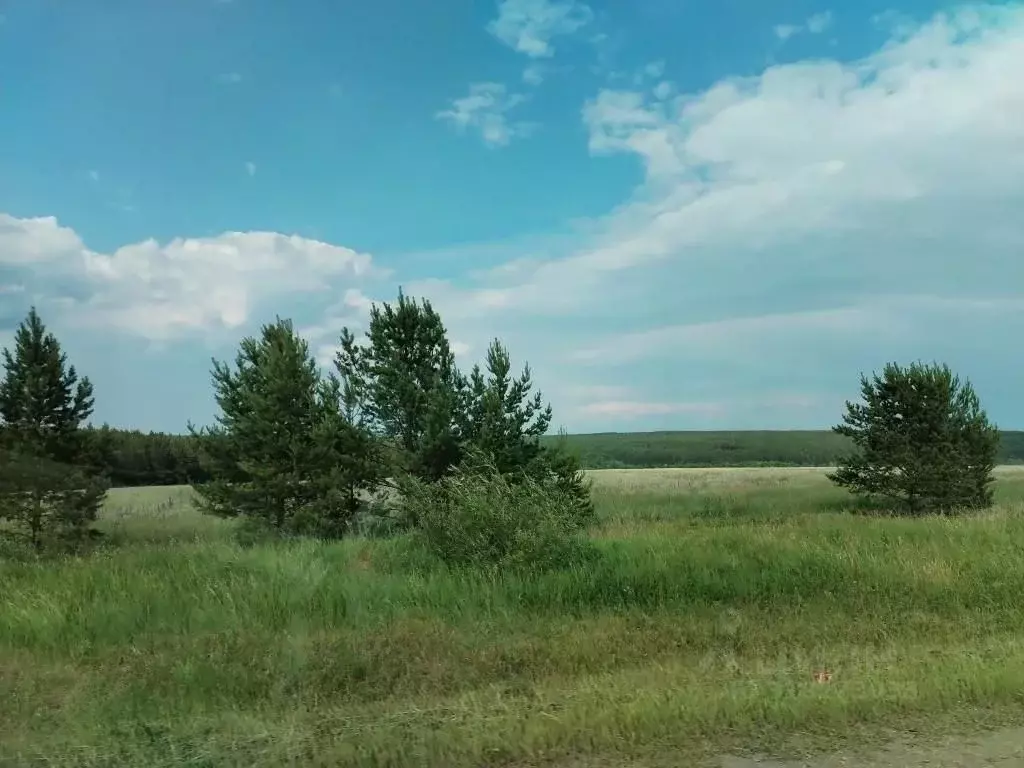 Участок в Амурская область, Константиновский район, с. Новопетровка  ... - Фото 0