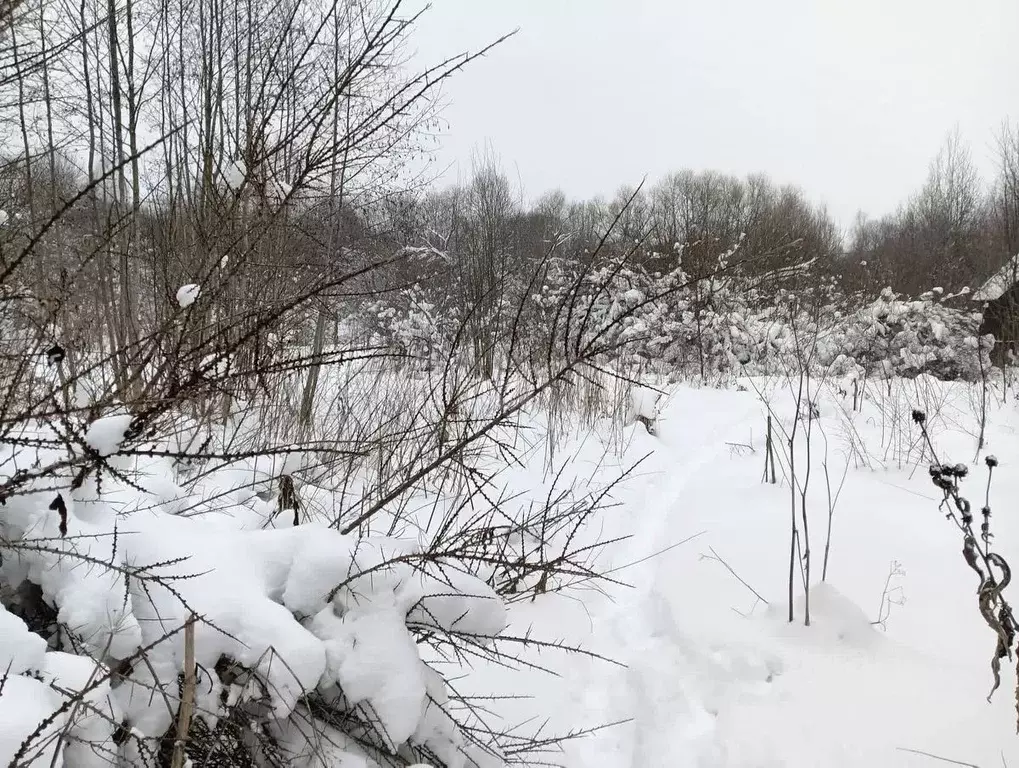Участок в Смоленская область, Смоленский муниципальный округ, СТ Искра ... - Фото 1
