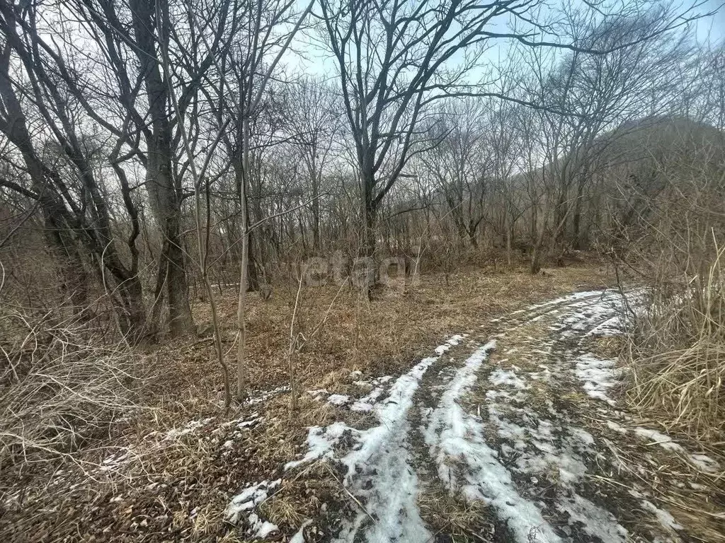 Участок в Приморский край, Шкотовский муниципальный округ, с. ... - Фото 0