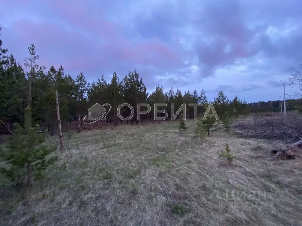 Участок в Свердловская область, Тугулым пгт ул. Новостроящаяся (25.0 ... - Фото 1