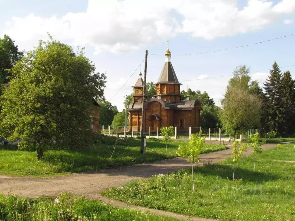 Участок в Московская область, Коломна городской округ, с. Бояркино  ... - Фото 2
