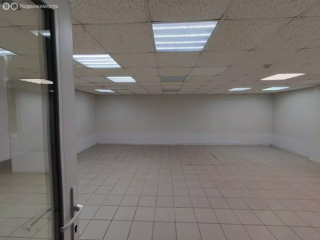 Торговая площадь (59.7 м) - Фото 2