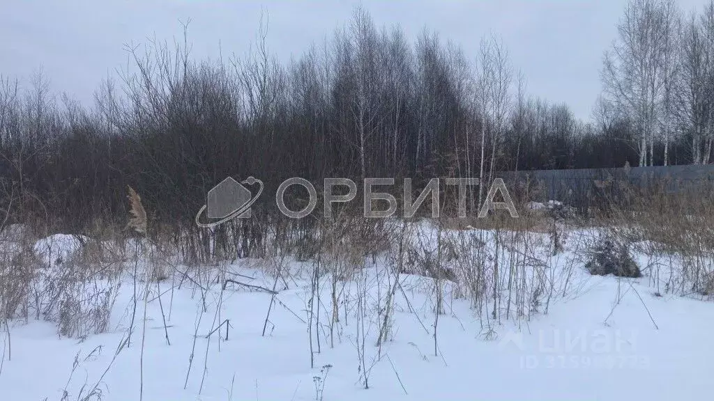 Участок в Тюменская область, Тюмень Ясень садовое товарищество,  (10.0 ... - Фото 0