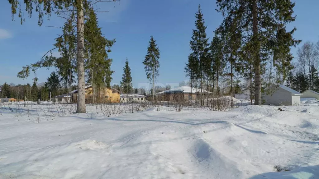 Участок в Московская область, Наро-Фоминский городской округ, д. ... - Фото 1