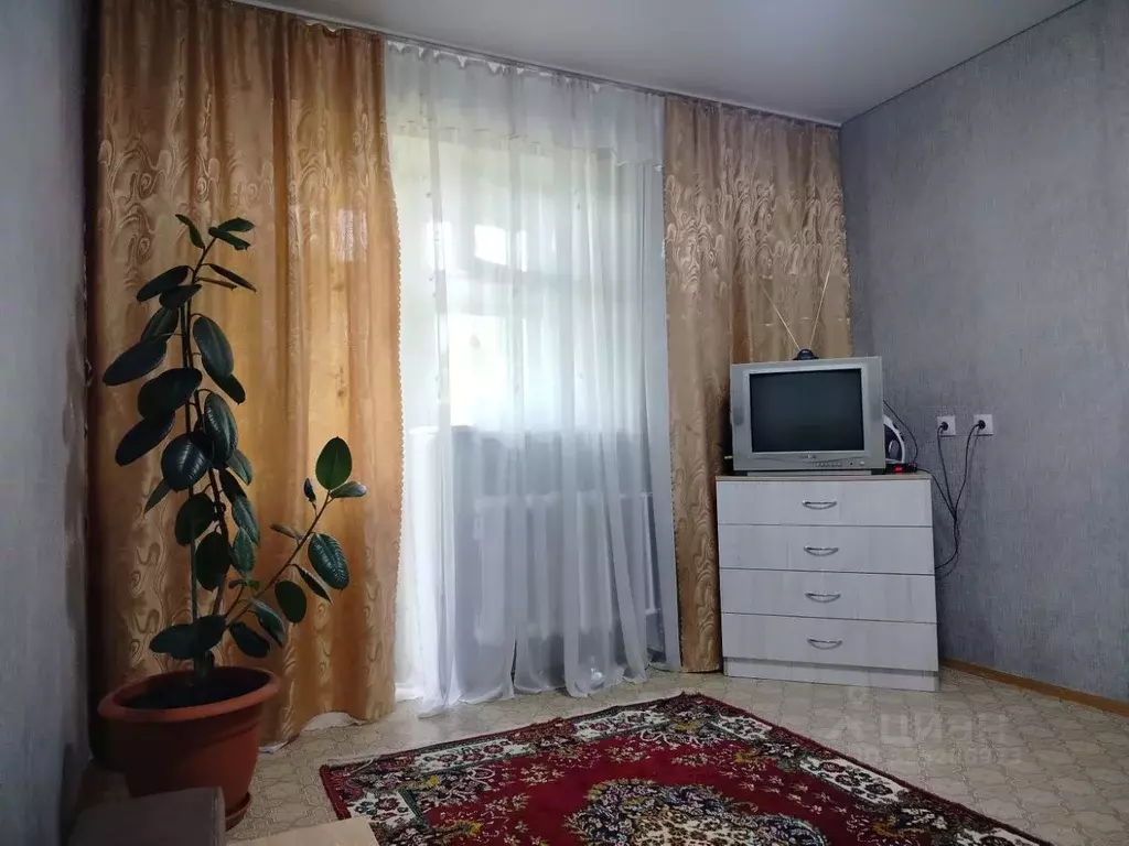 Студия Алтайский край, Барнаул ул. Малахова, 177А (24.2 м) - Фото 2