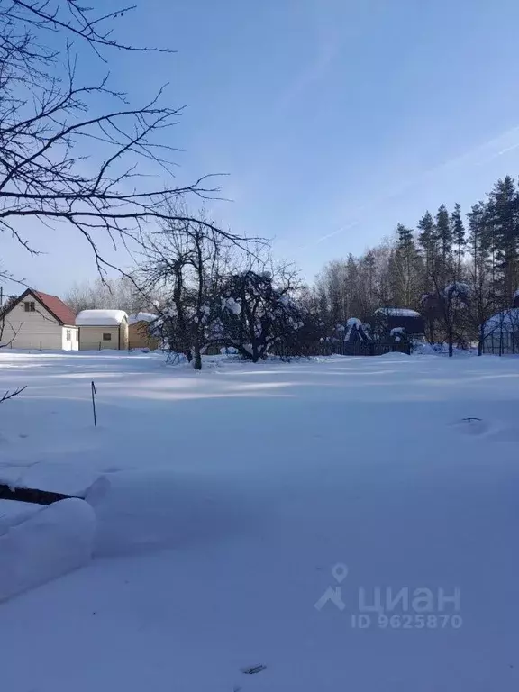 Участок в Нижегородская область, Бор Сельхозтехника СНТ,  (5.0 сот.) - Фото 0
