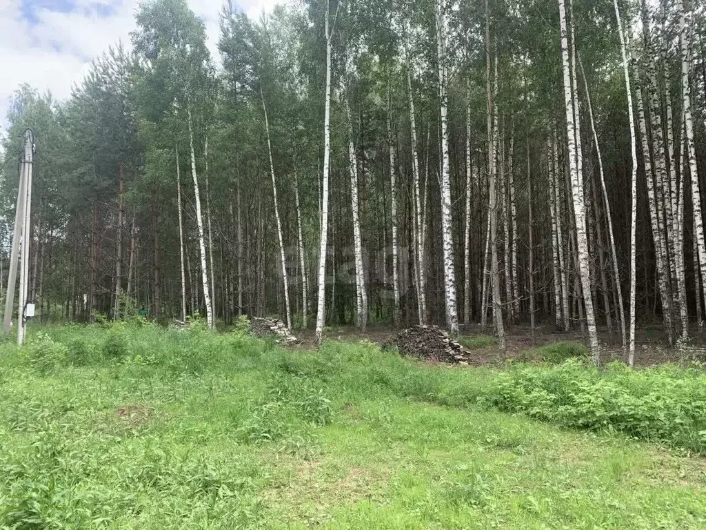 Участок в Нижегородская область, Сокольский муниципальный округ, д. ... - Фото 1