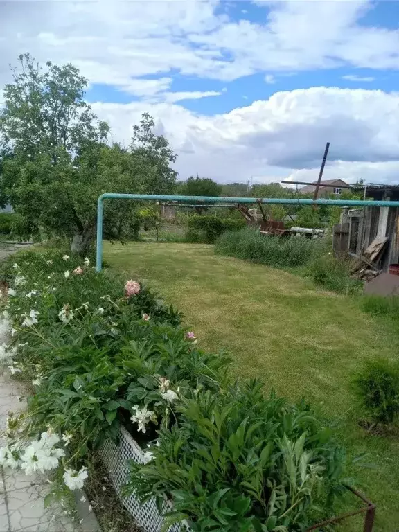Дом в Волгоградская область, Иловля рп пер. Речной (80 м) - Фото 2