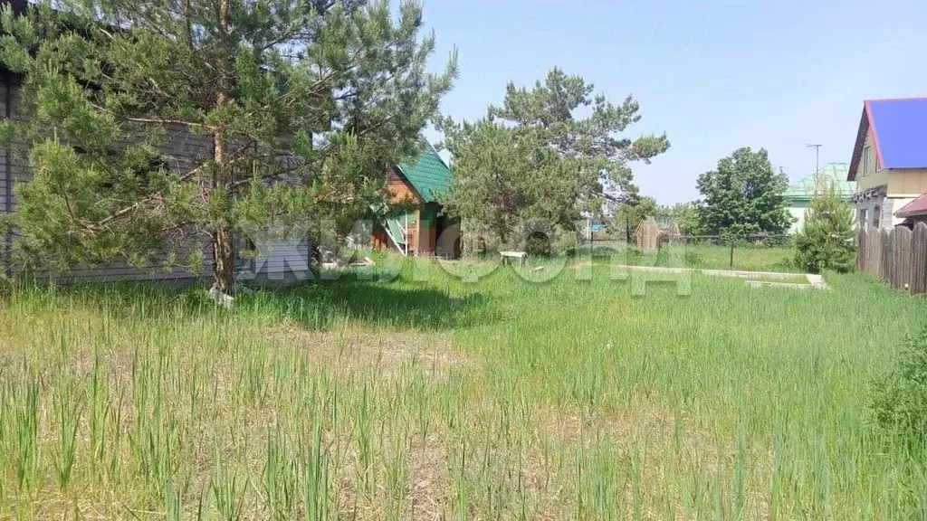 Дом в Новосибирская область, Ордынское рп ул. Флегоновская (26 м) - Фото 1