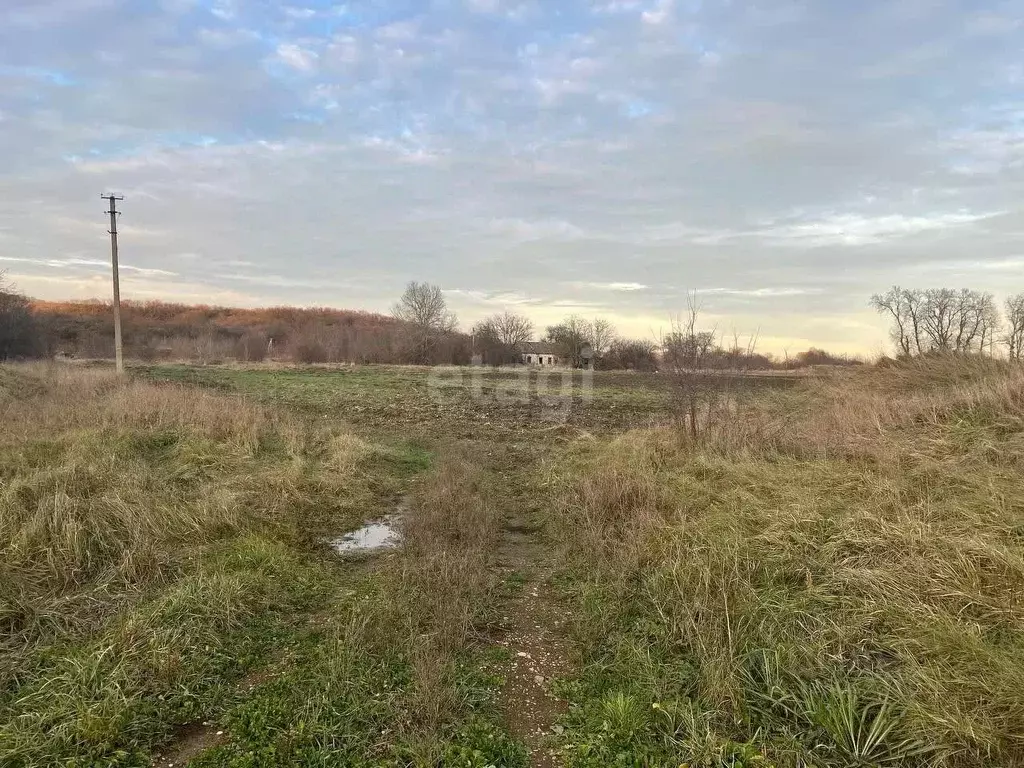 Участок в Краснодарский край, Крымский район, Крымское городское ... - Фото 1