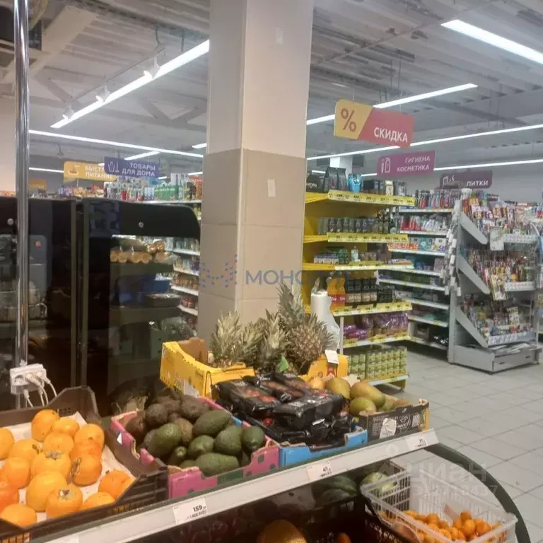 Торговая площадь в Нижегородская область, Нижний Новгород ул. ... - Фото 2