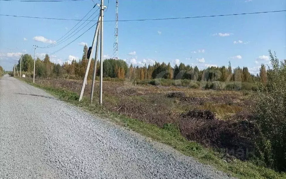 Участок в Тюменская область, с. Ярково ул. Черемуховая (10.0 сот.) - Фото 0