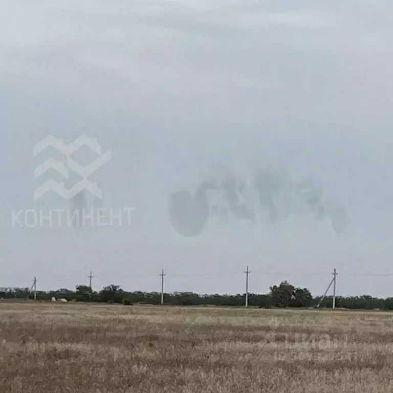 Участок в Крым, Сакский район, Молочненское с/пос, с. Витино ул. ... - Фото 1