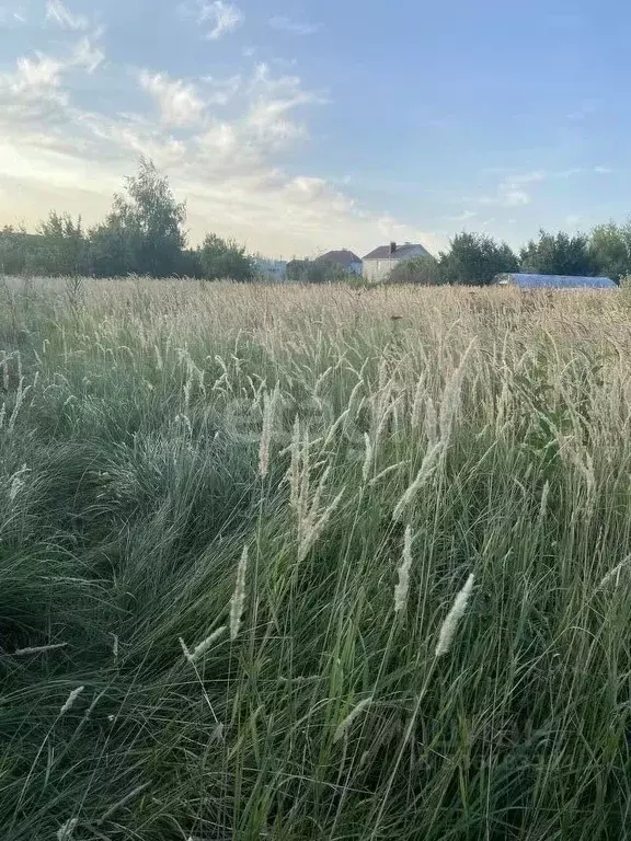 Участок в Воронежская область, Верхнехавский район, Малоприваловское ... - Фото 0