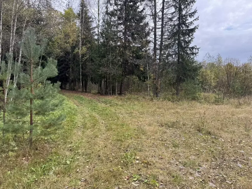 Участок в Ленинградская область, Выборгский район, Селезневское с/пос  ... - Фото 2