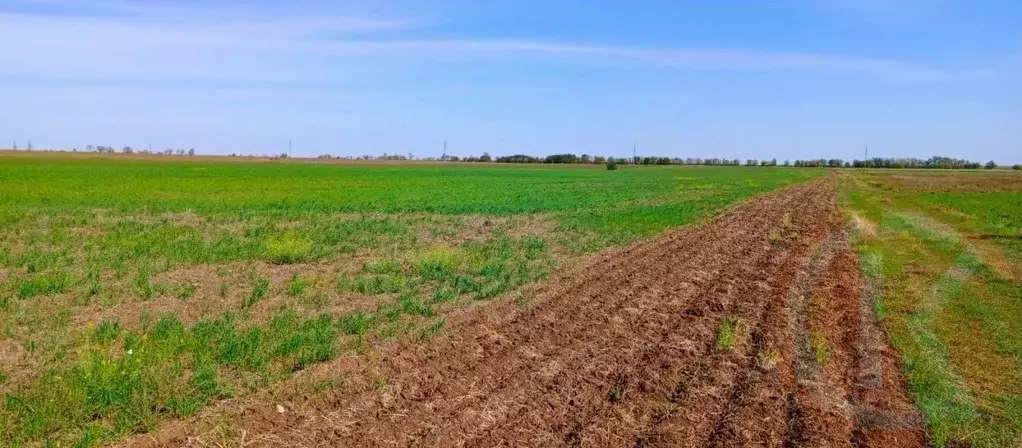 Участок в Крым, Сакский район, с. Добрушино  (132.0 сот.) - Фото 1