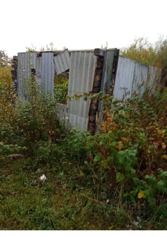 Участок в Костромская область, Волгореченск Энергостроитель-4 ... - Фото 2