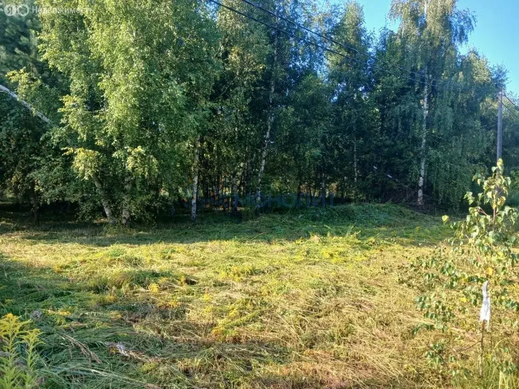 участок в нижегородская область, дальнеконстантиновский муниципальный . - Фото 1