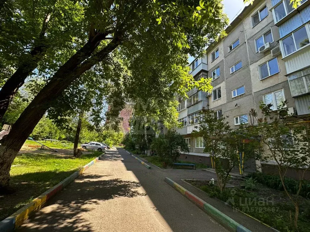 3-к кв. Оренбургская область, Оренбург Одесская ул., 144 (61.2 м) - Фото 0