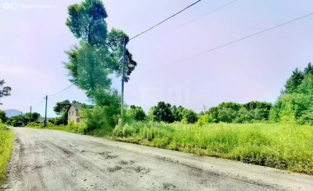 Участок в Арсеньев, улица Котовского (9.8 м) - Фото 1