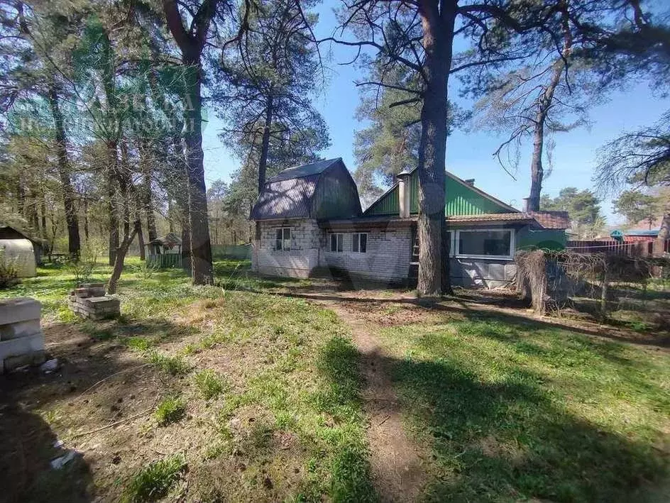 Дом 59,3 м на участке 15 сот. - Фото 0