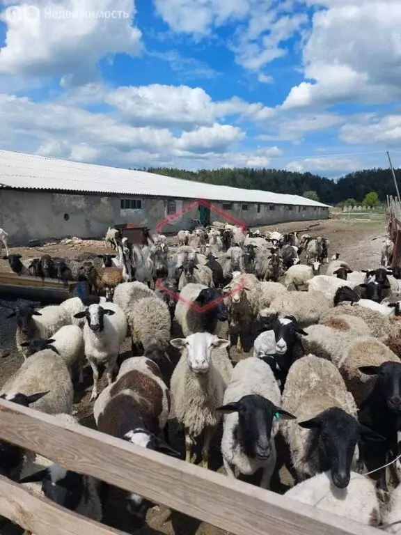 Помещение свободного назначения (30000 м) - Фото 1
