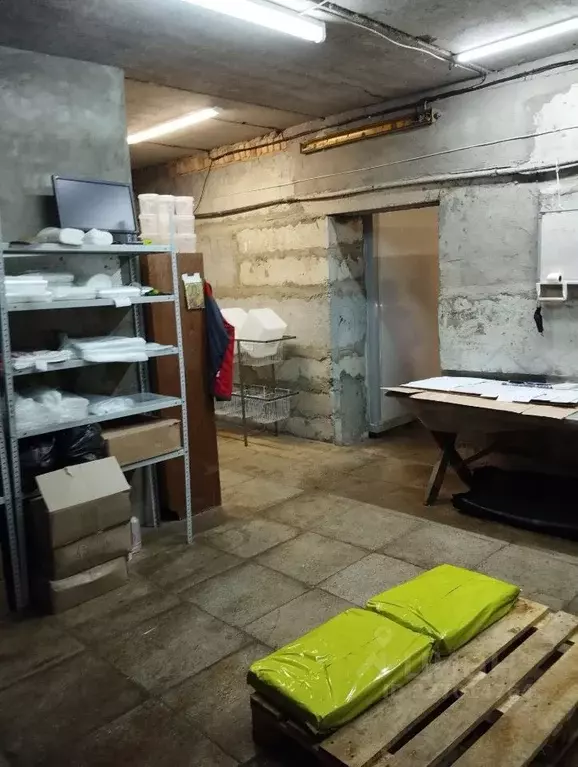 Помещение свободного назначения в Пензенская область, Заречный ул. ... - Фото 1