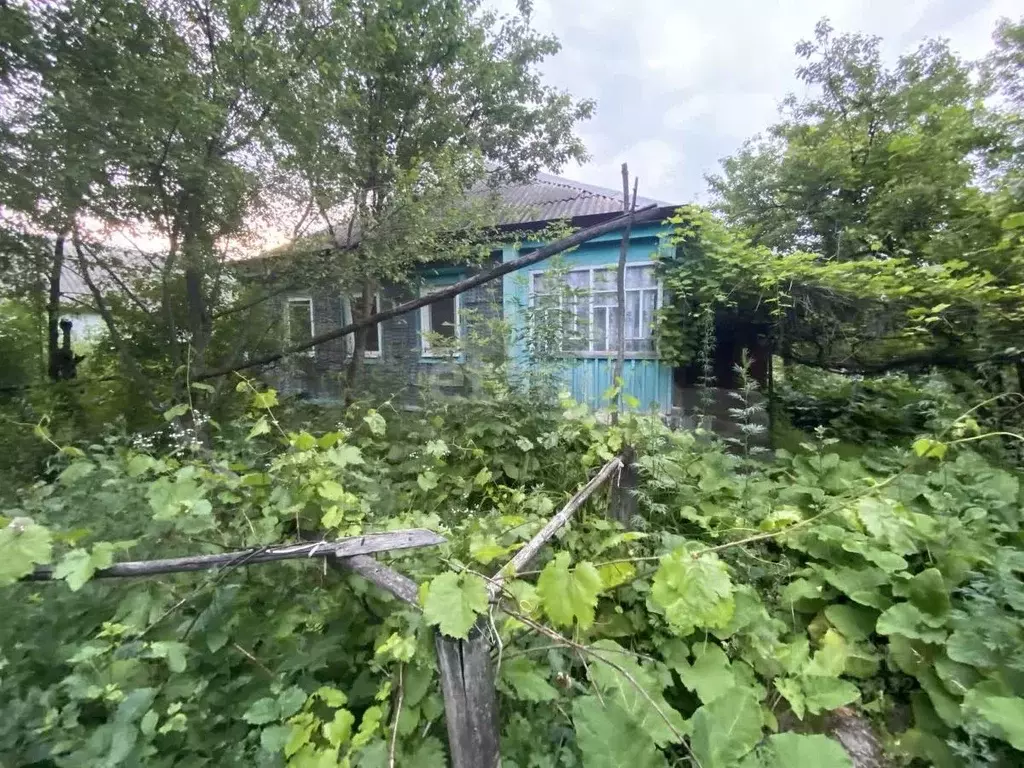 Дом в Белгородская область, Новооскольский муниципальный округ, с. ... - Фото 0