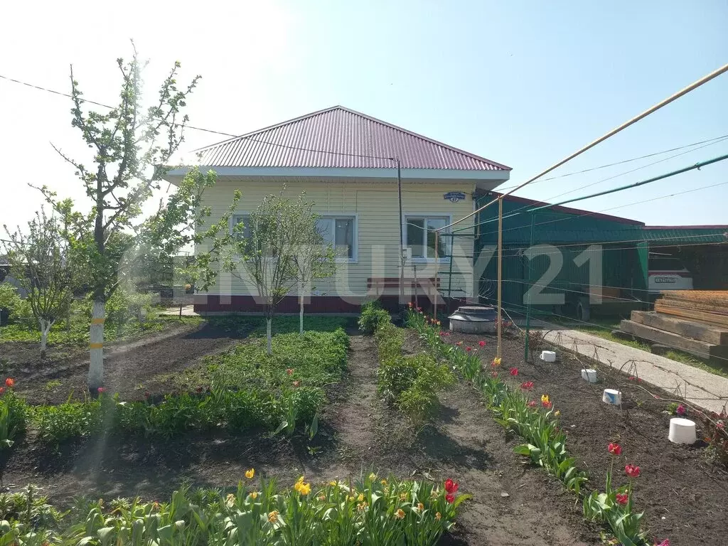Дом в деревня Степная Репьевка, Центральная улица, 57 (65 м) - Фото 1