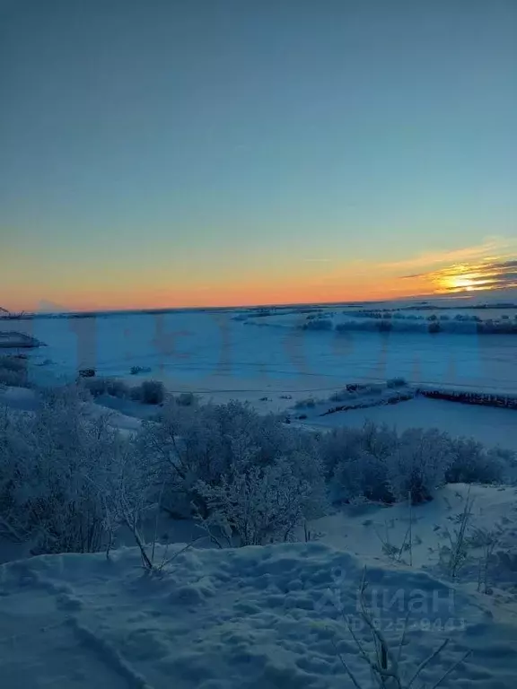 Дом в Ямало-Ненецкий АО, Салехард Полуйская ул. (78 м) - Фото 0