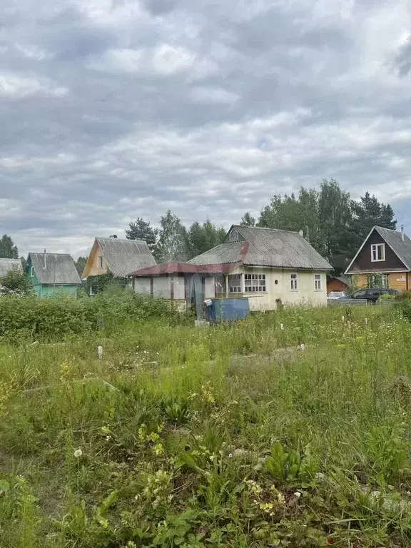 Дача 35,5 м на участке 8 сот. - Фото 0