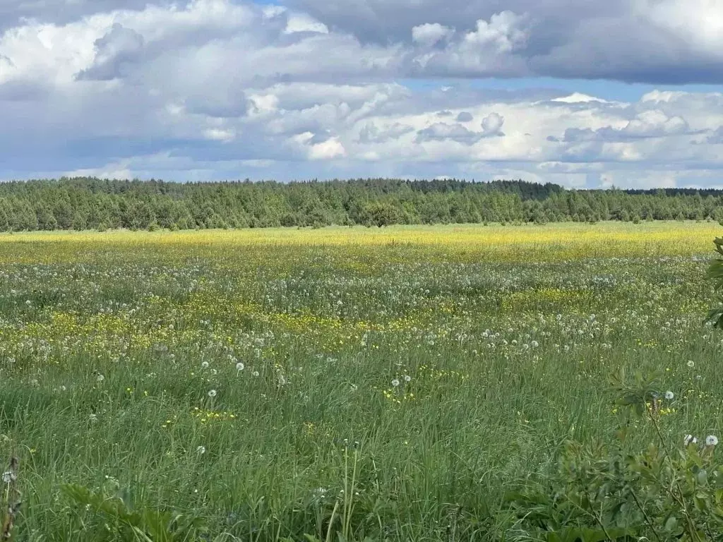 Участок в Тверская область, Калининский муниципальный округ, с. ... - Фото 2